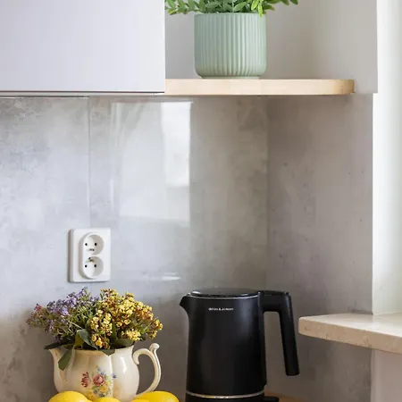 Stylish Two-bedroom With Balcony In By Renters Varsóvia