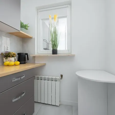 公寓 Stylish Two-bedroom With Balcony In By Renters